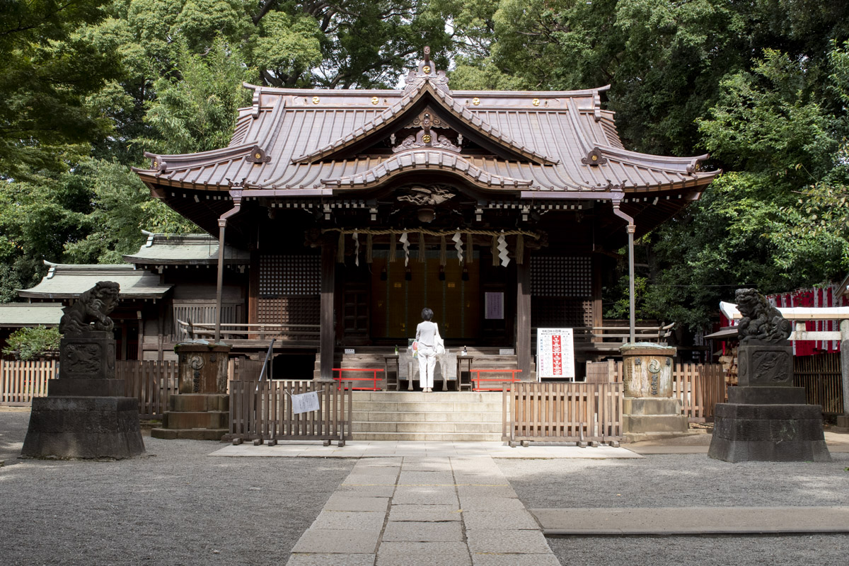 縄文から現在、そして未来へ　歴史を紡ぐ場所・代々木八幡宮