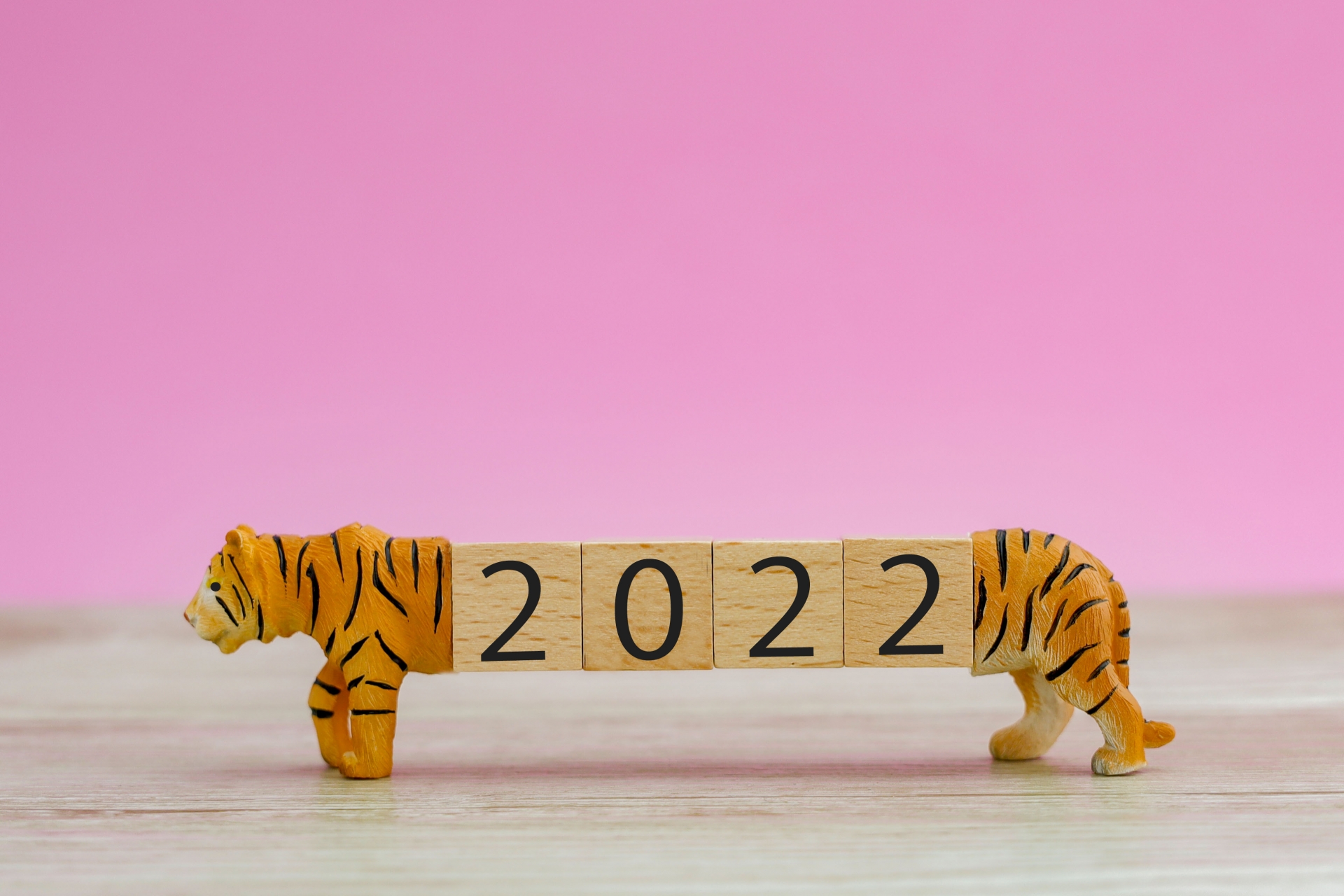 2022年は寅年！寅・虎にまつわる全国の寺社と御朱印5選！