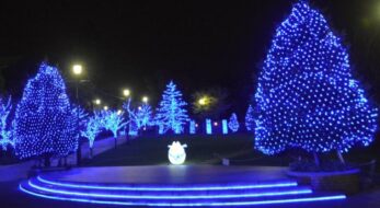 夜景×イルミは今が最高潮！横浜のイルミネーションおすすめスポット5選！