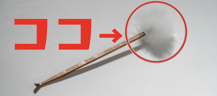 大人の常識クイズ。耳かきの「ココ」の正式名称は？ ヒント：意外にゴツい