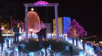 松田きらきらフェスタが開催中！約18万球のイルミネーションで輝く西平畑公園