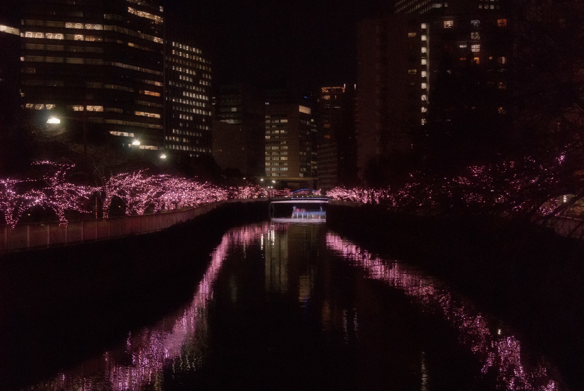 2年ぶりの開催！「目黒川みんなのイルミネーション2021」速報レポート