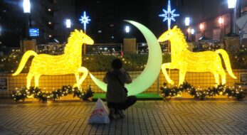 府中けやき並木イルミネーションが開催中！大國魂神社の参道で輝く約150本のケヤキ