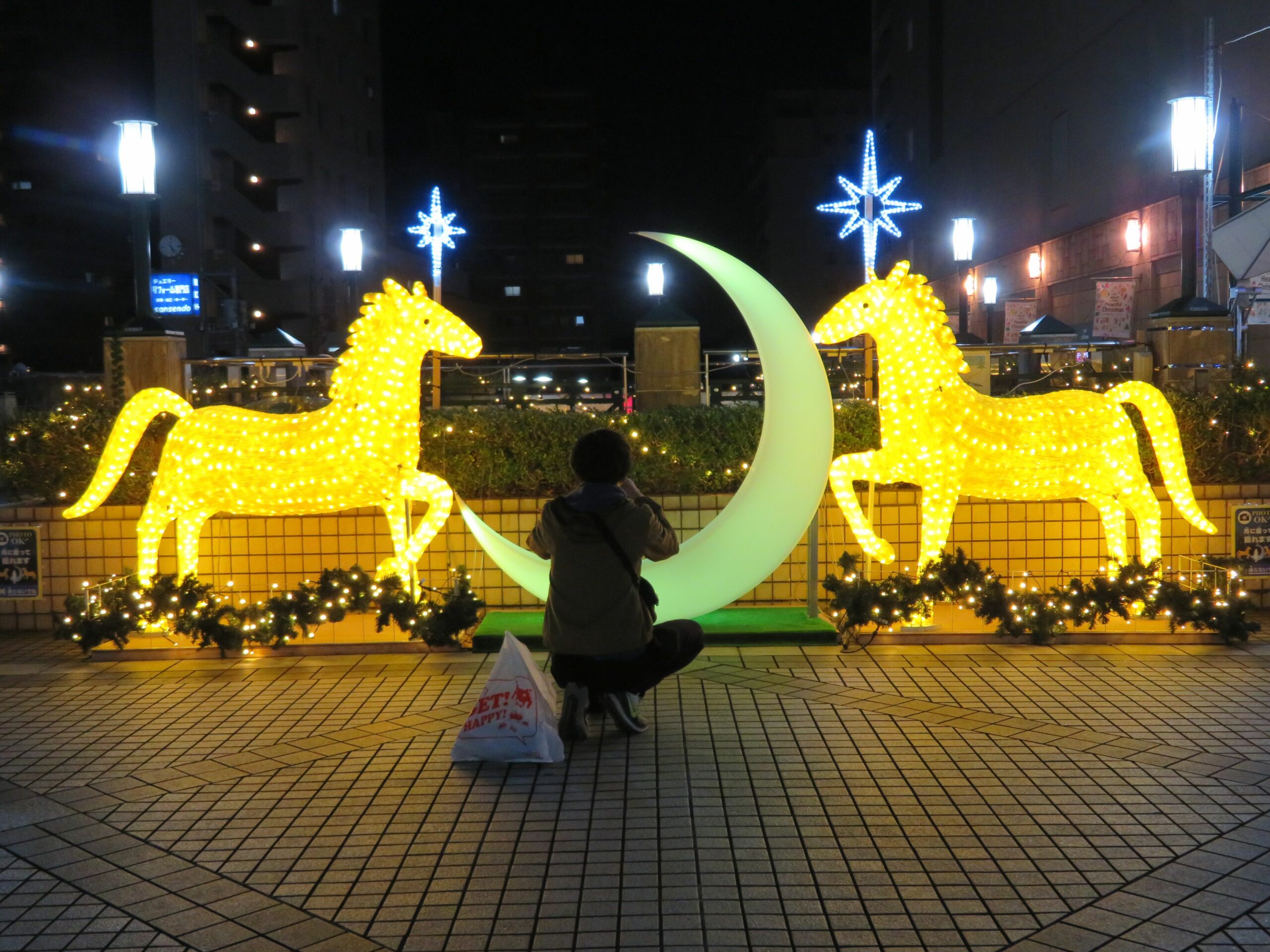 府中けやき並木イルミネーションが開催中！大國魂神社の参道で輝く約150本のケヤキ
