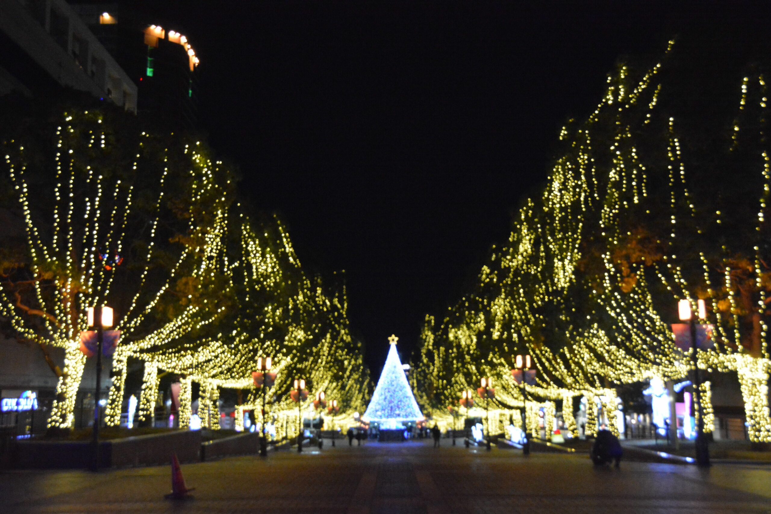 クスノキが58個のシャンパングラスに変身！？多摩センターイルミネーションが開催中！