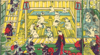 柚子湯のすごい効能をご紹介！冬至に入る由来は？柚子の入れ方で違いはある？