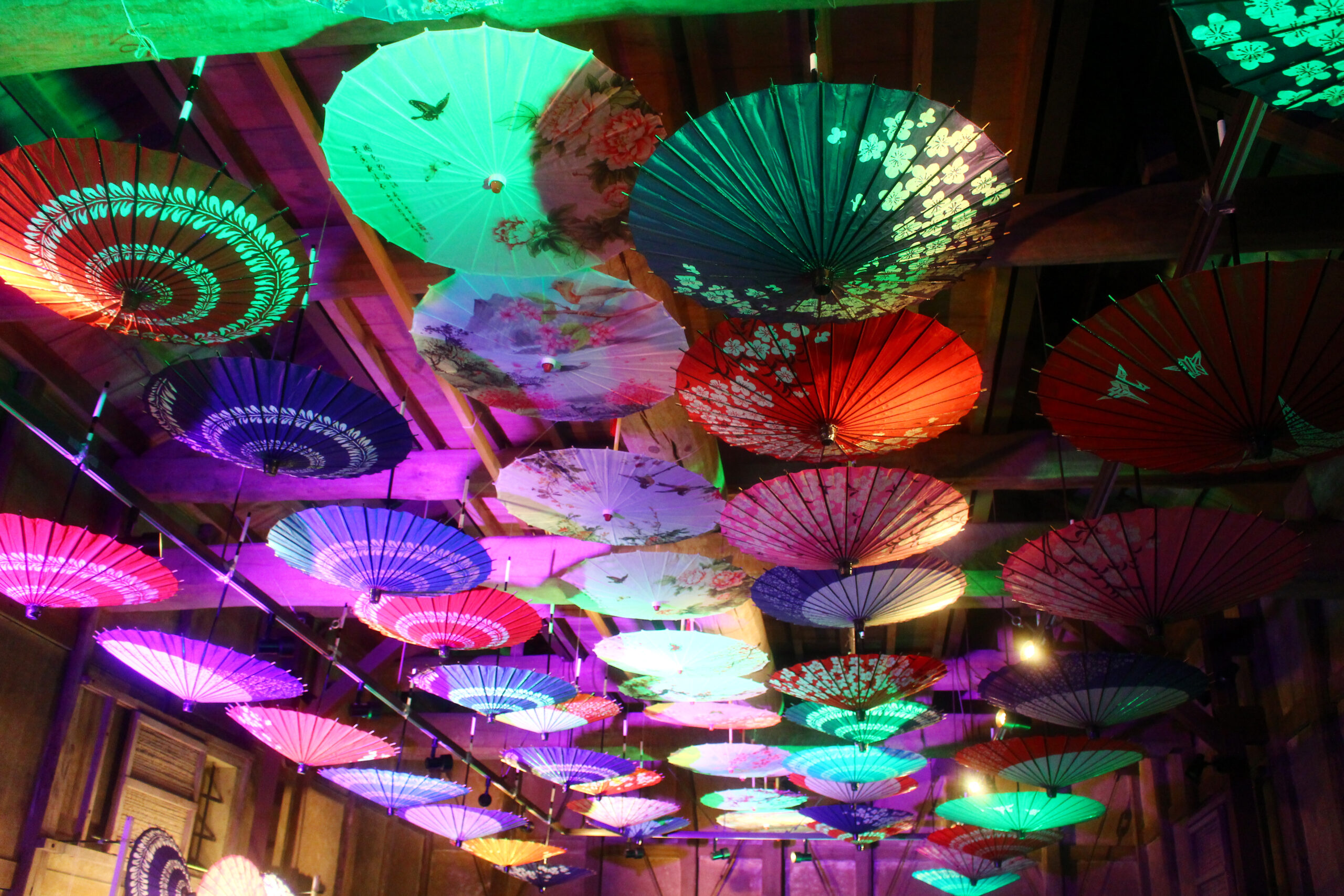 旧堀切邸秋まつり2021現地レポ！温泉街の有形文化財を彩る番傘ライトアップ