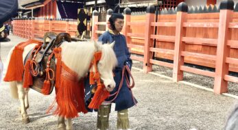 住吉大社の白馬神事で邪気払い！限定御朱印とお守りも！