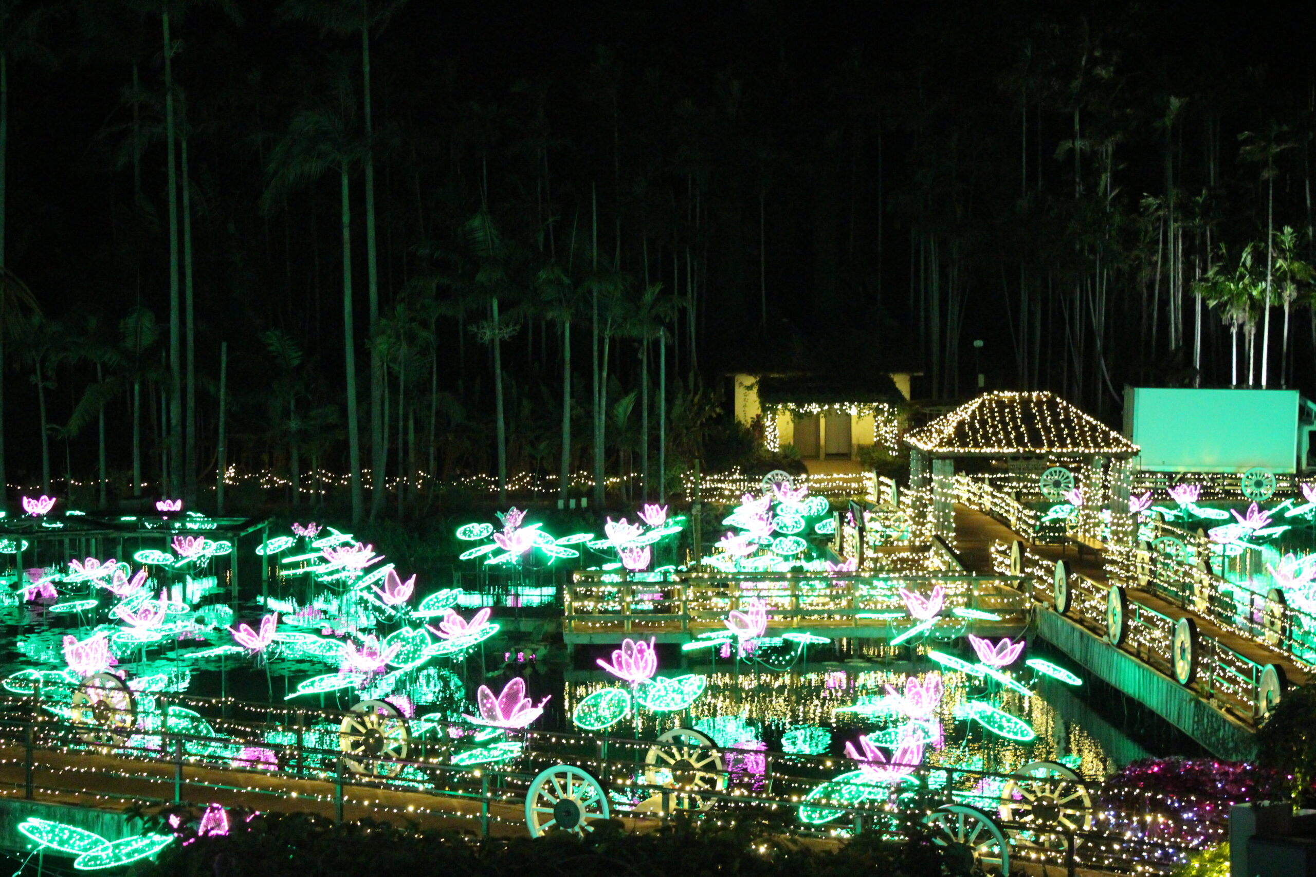 全国イルミネーションアワード第3位！東南植物楽園「沖縄南国イルミネーション」！