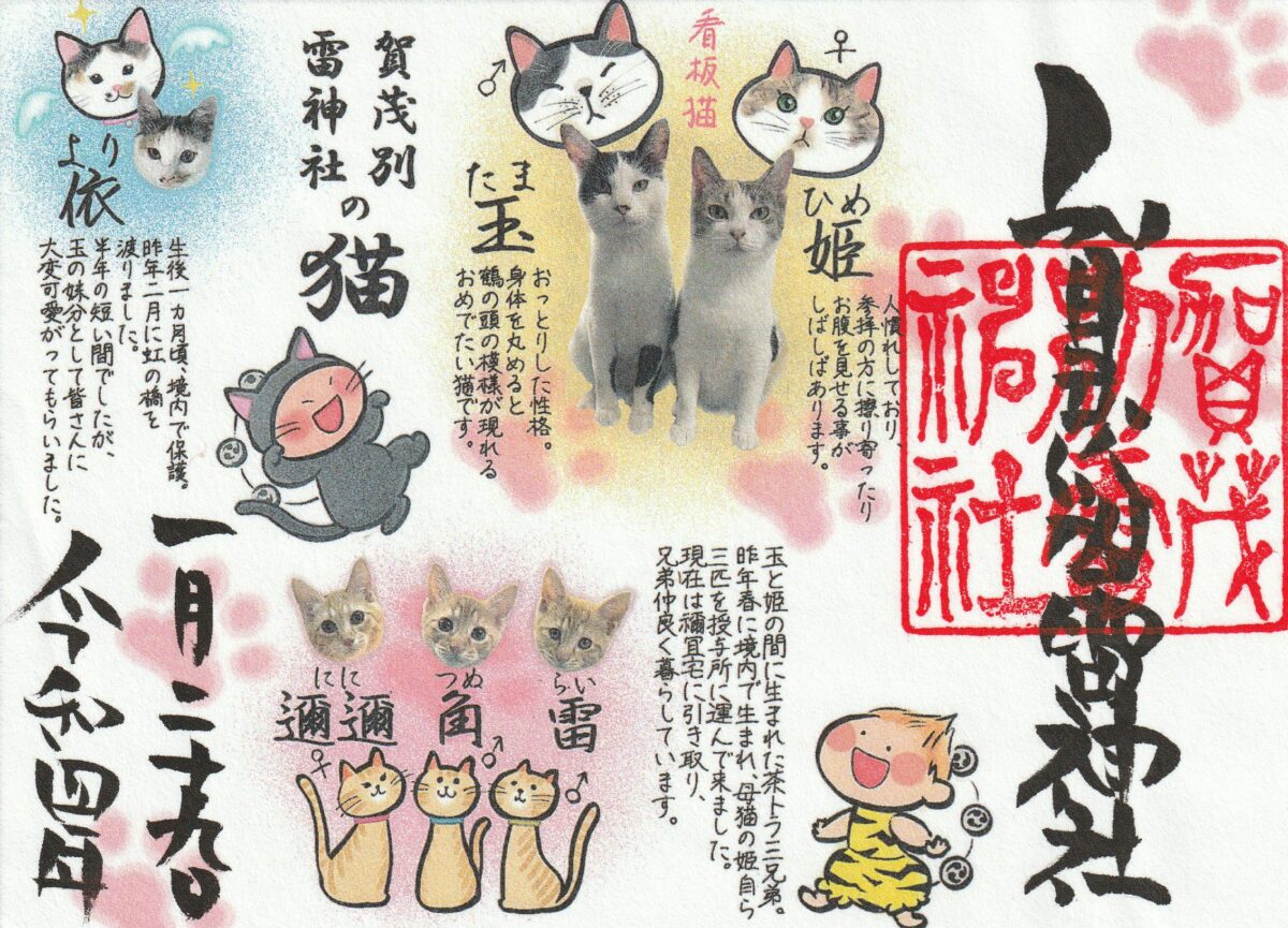 賀茂別雷神社とは？御朱印コレクター必見！デザインは一年で100