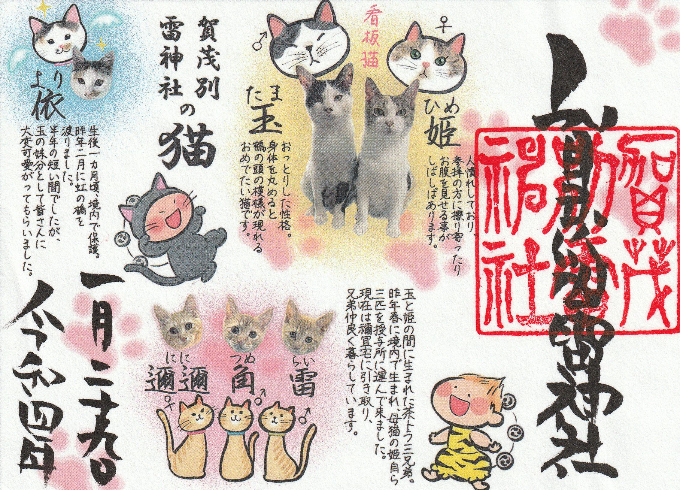 賀茂別雷神社とは？御朱印コレクター必見！デザインは一年で100種類を超える？