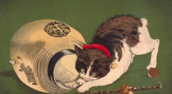 やっぱり猫は神！猫好き必見・尊すぎる「猫のお札」がある神社6選