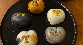 ブサカワ♡「招福猫子まんじゅう」でほっこり猫の日＜全種類実食レポ＞