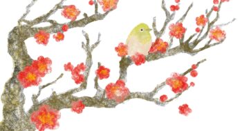 御朱印の中ではもう満開！日本各地の美しい梅の御朱印5選