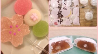 ＜カルディ＞桜満開♡この時期必見のアイテム実食レポ＜2022年＞