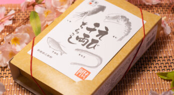 全面玉子焼きのお弁当？その下には…！！新潟駅といえば「えび千両ちらし」実食レポ！