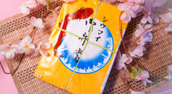 崎陽軒のシウマイ弁当☆「駅弁の日」に食べたい定番駅弁を実食レポ！