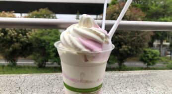 コストコのソフトクリームを甘くみていた……ボリュームやばすぎ！味は？実食レポ