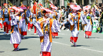 博多どんたく港まつりが、2023年は4年ぶりに通常開催！密着レポートでお祭り気分を高めよう！