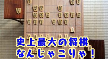 史上最大の将棋「大局将棋」って知ってる？駒数は驚きの？？？枚！