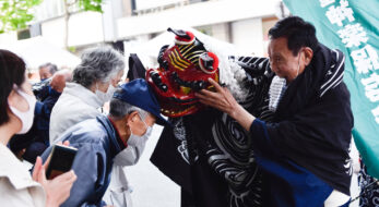 獅子舞が大集結！ながの獅子舞フェスティバルが目指す伝統芸能継承の形とは