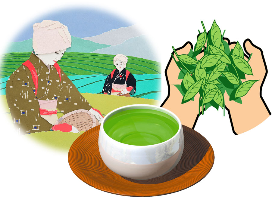 え！？実はあの歌も？有名曲から意外な曲まで「お茶にまつわる歌」5選