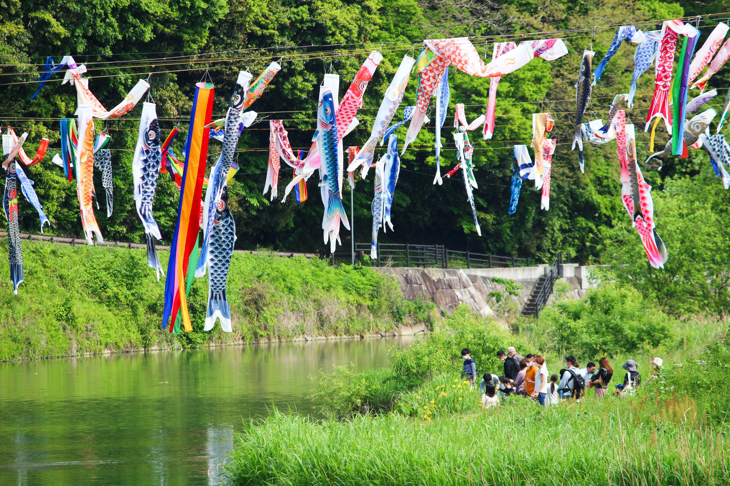 紫川こいのぼりまつりが北九州市小倉南区で開催！500匹が小嵐山を颯爽と泳ぐ