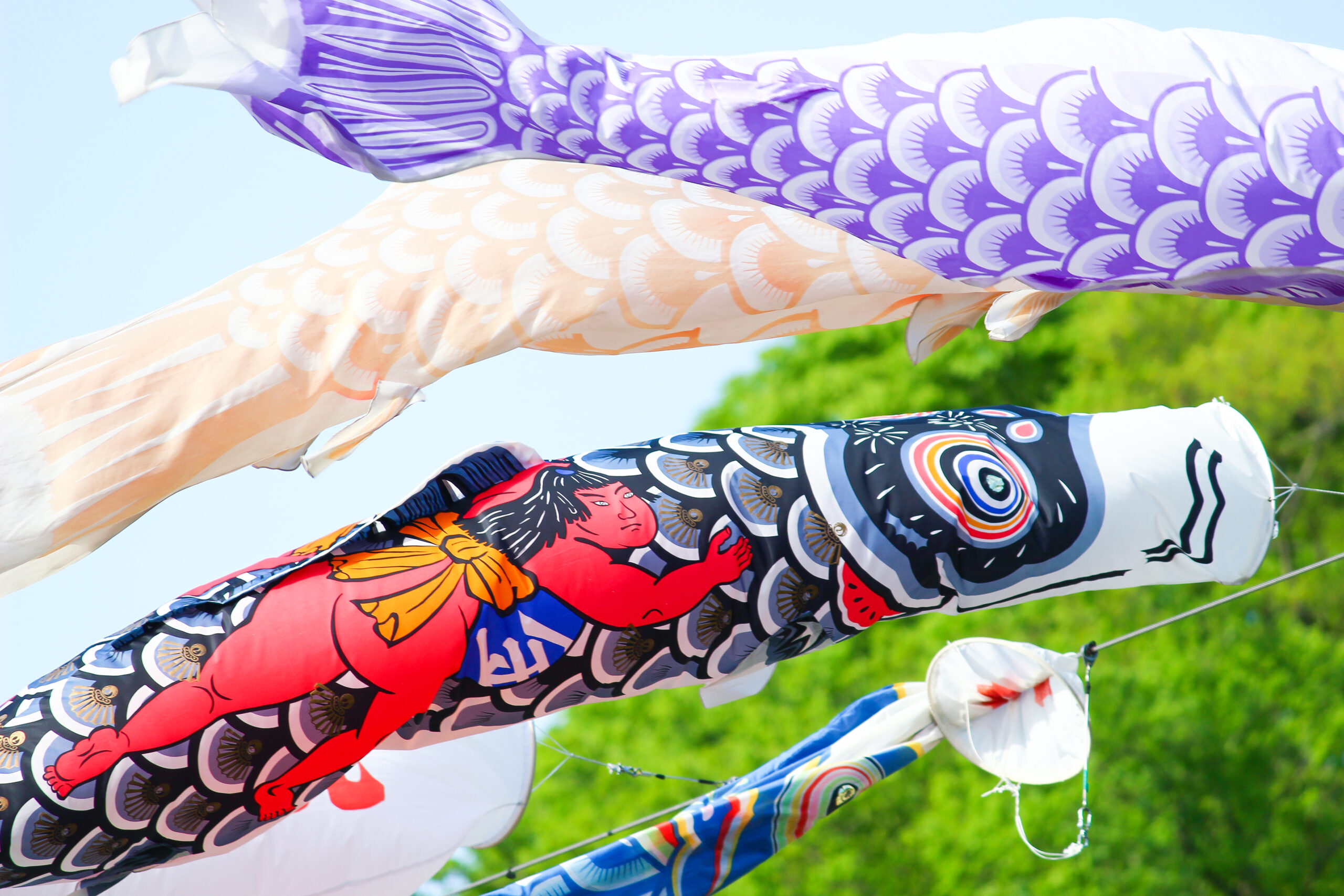 横瀬鯉のぼりまつり2022開催中！180匹が新緑の山間で青空の下、初夏の埼玉を泳ぐ