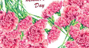 切り絵、花束、アロマ…素敵すぎる！全国の「母の日御朱印」5選