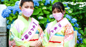 水戸のあじさいまつり！11000株が咲き、体験イベントに浴衣レンタルも
