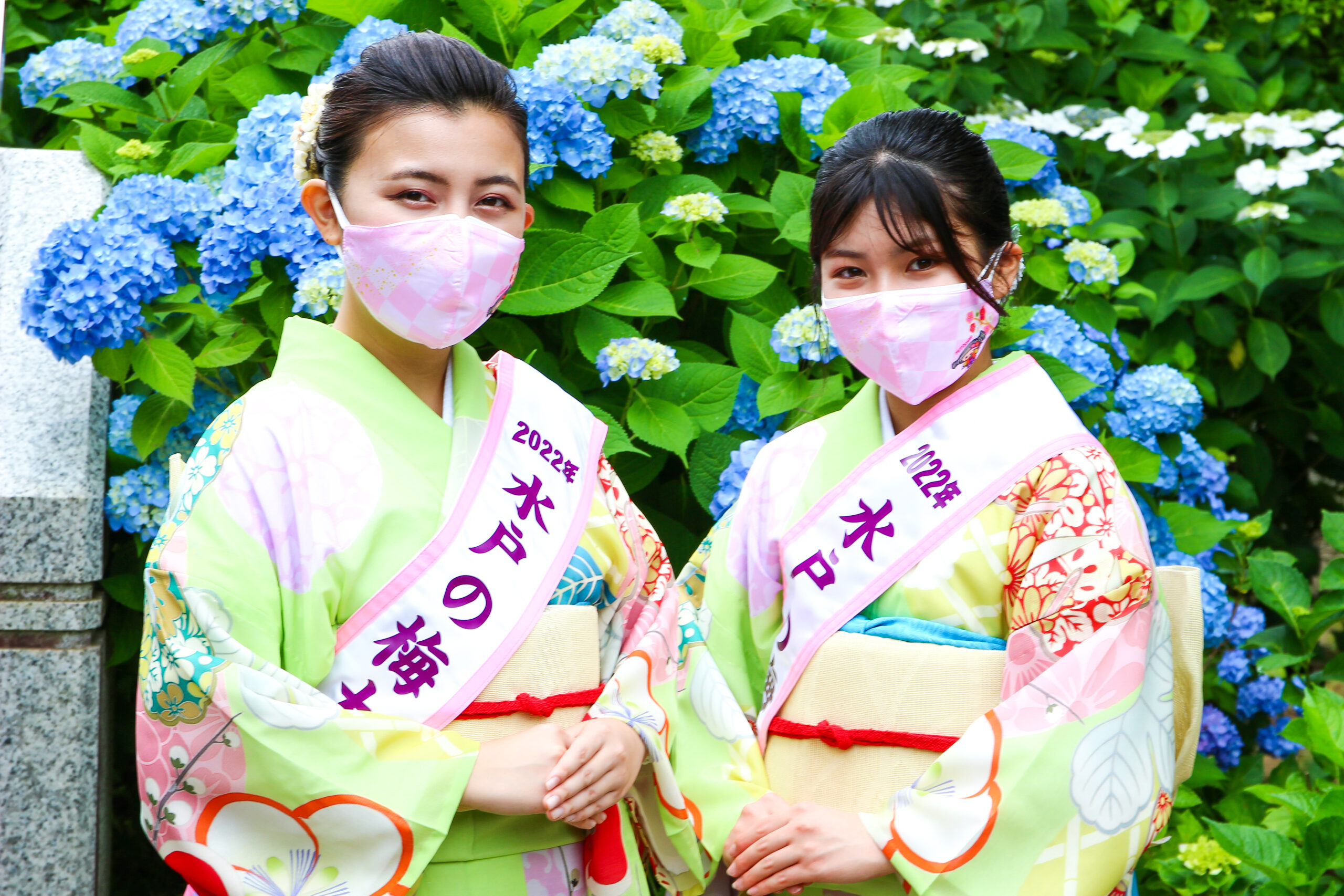 水戸のあじさいまつり！11000株が咲き、体験イベントに浴衣レンタルも