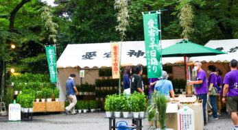 6月23日・24日は「出世の石段」を上ろう！東京港区・愛宕神社で「千日詣り・ほおづき縁日」が2023年も開催！