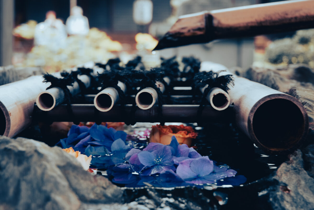 鎌倉だけじゃない！今が見頃の「川崎のあじさい寺」とは？期間限定の花御朱印も！