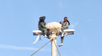 高さ14メートルで命綱なし！？茨城県龍ケ崎市「つく舞」！高所の柱上での弓射と曲芸を見逃すな！