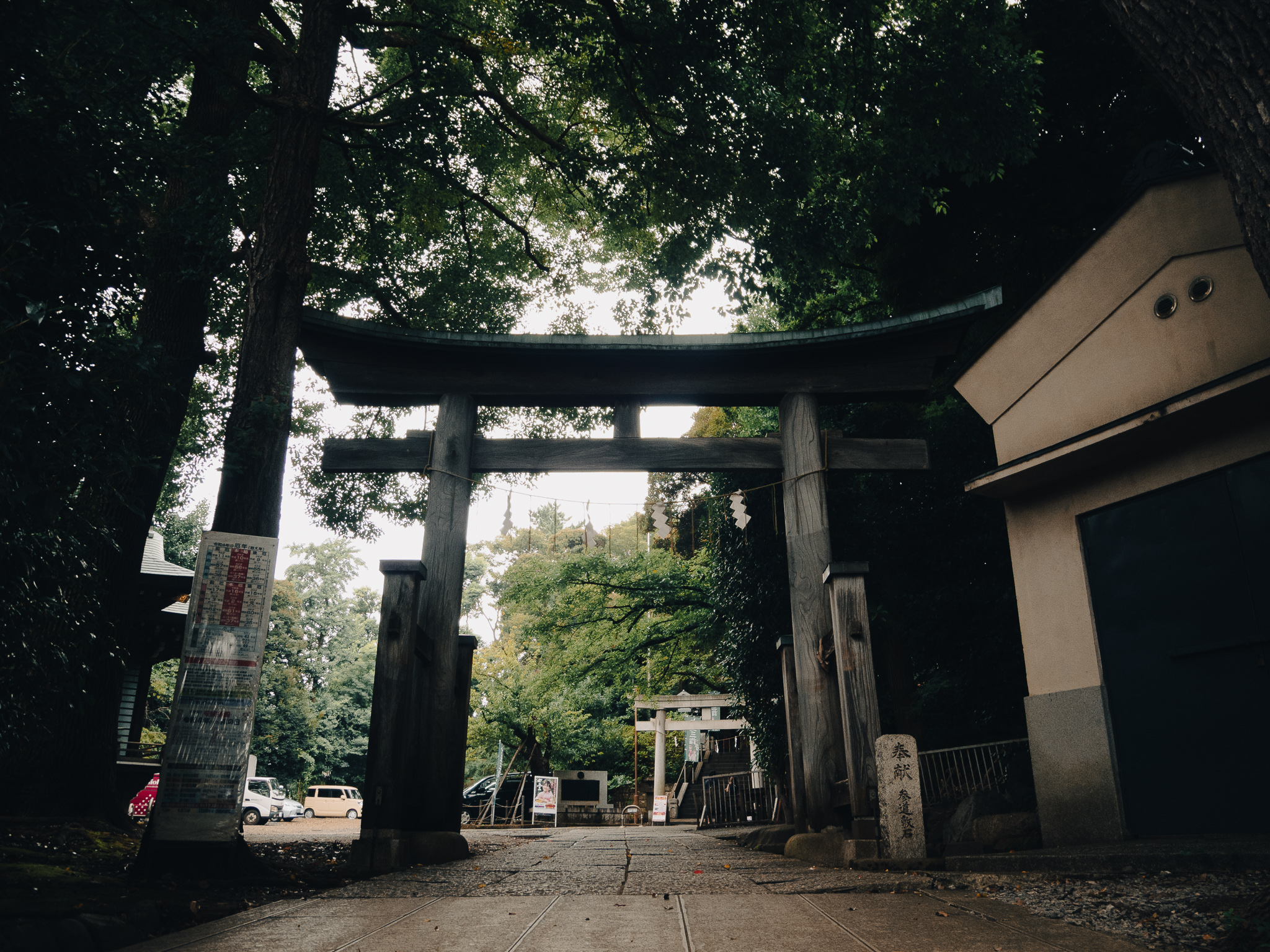 「出世石」って知ってる？花御朱印にもあった！雪ヶ谷八幡神社に行こう