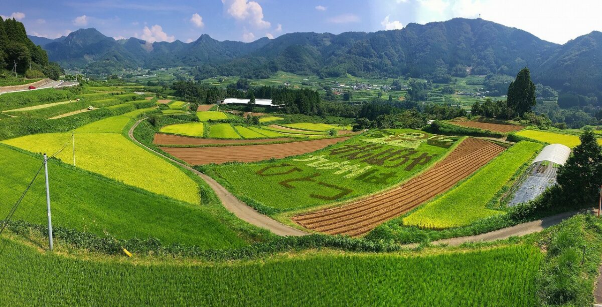 時を超えて今も残る原風景。里人たちが守り伝える世界農業遺産・高千穂町の棚田