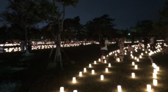夏の夜の奈良は美しい！東大寺、春日大社でも2023年「なら燈花会」！ろうそくから花が生まれたら縁起よし！？