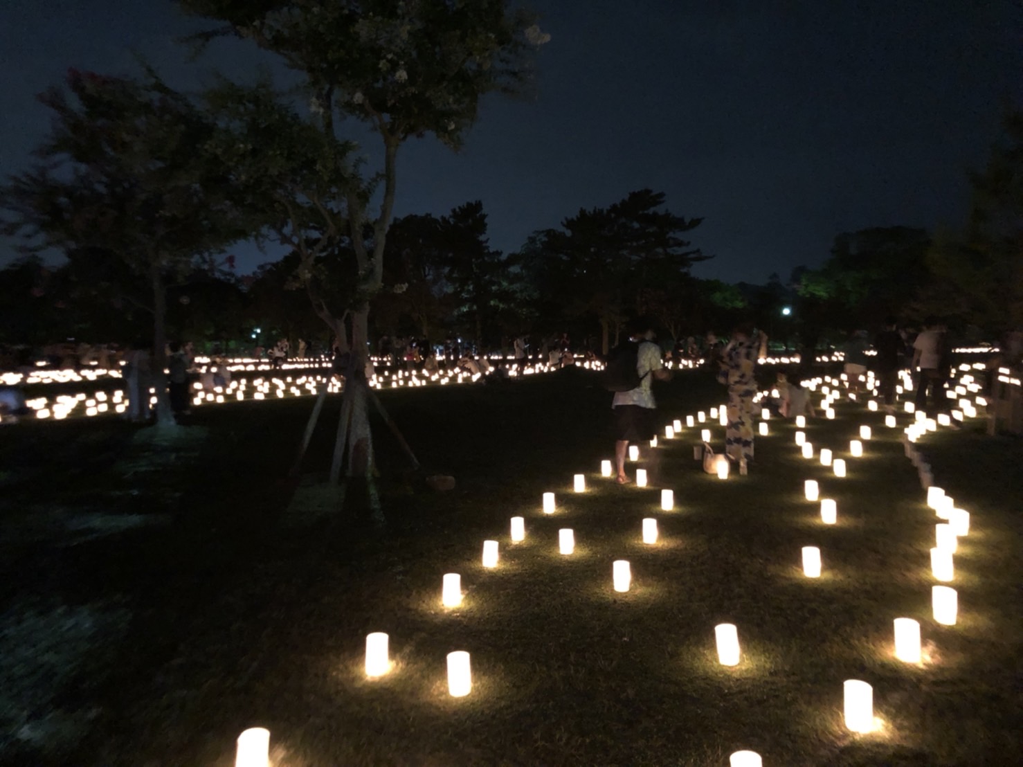 夏の夜の奈良は美しい！東大寺、春日大社でも2023年「なら燈花会」！ろうそくから花が生まれたら縁起よし！？