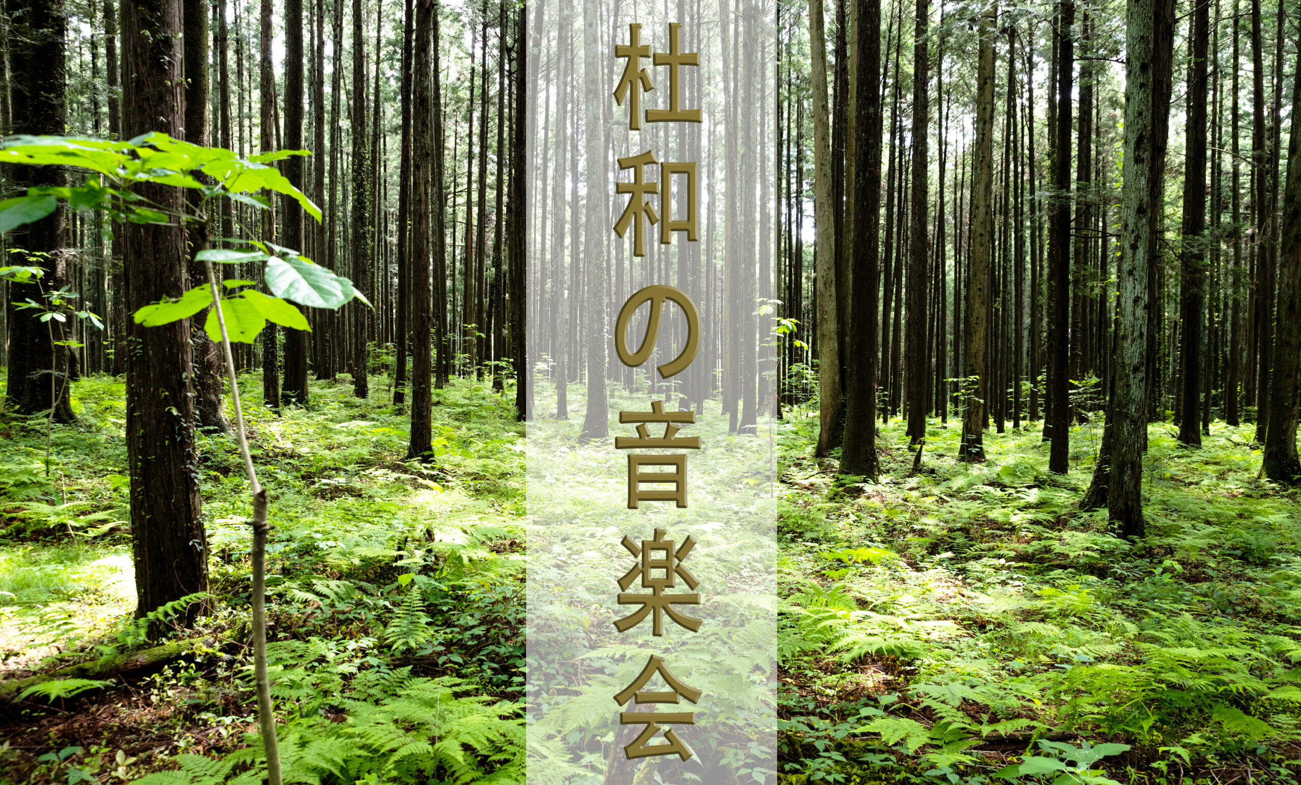 クラシックと雅楽が異色のコラボ！日光大室たかお神社で野外コンサートを開催