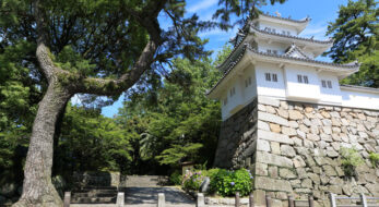 藤堂高虎と「津まつり」～藤堂高虎と徳川頼宣の鷹狩り～