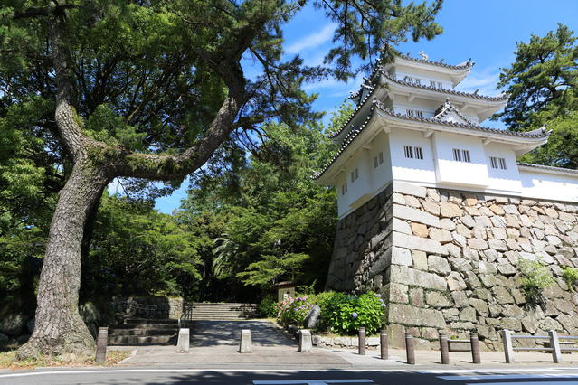 藤堂高虎と「津まつり」～藤堂高虎と徳川頼宣の鷹狩り～