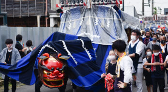 獅子舞の大行列！なぜこんなに盛ん？常陸國總社宮例大祭（石岡のおまつり）を支える仕組みとは？