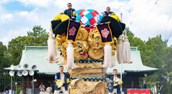 四国三大祭りとは？いつ開催？徳島・阿波おどり、高知・よさこい祭り、もう一つは何？
