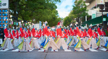 「ほにや」代表・泉真弓氏にインタビュー！「踊る人も見る人も、一緒に創るよさこい」とは！？