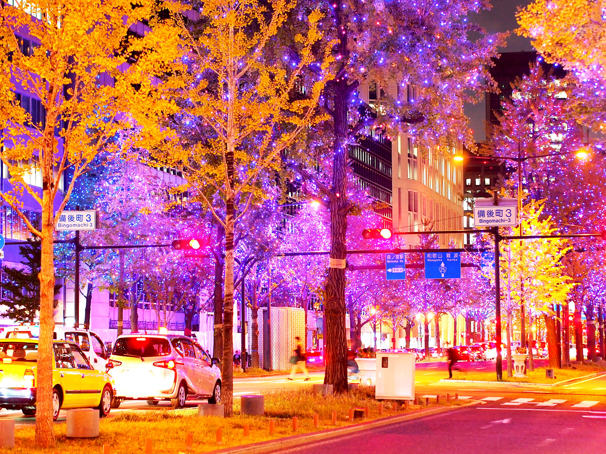 2022-23冬のイルミネーション・開催情報まとめ【関西編】