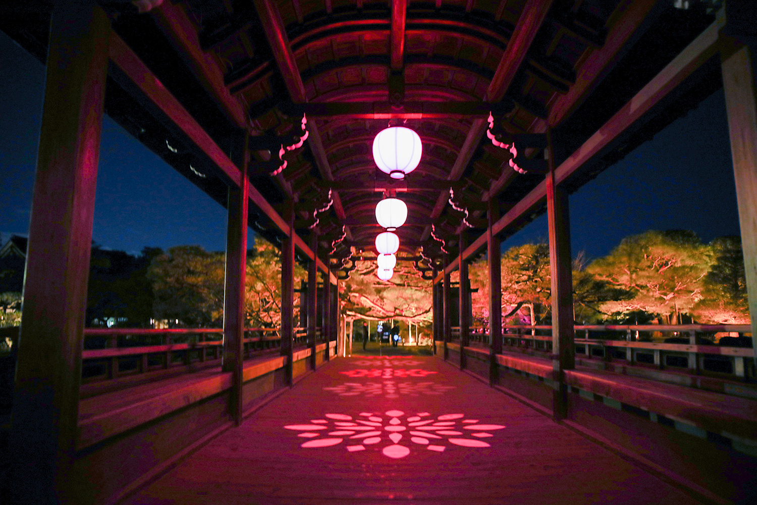 「NAKEDヨルモウデ 2022 平安神宮」が開催中！今だけ京都で楽しめるデジタルライトアップをレポート