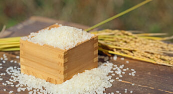 11月23日の「新嘗祭」とは？どんな行事？なぜ「勤労感謝の日」になった？全国各地の新嘗祭行事も！