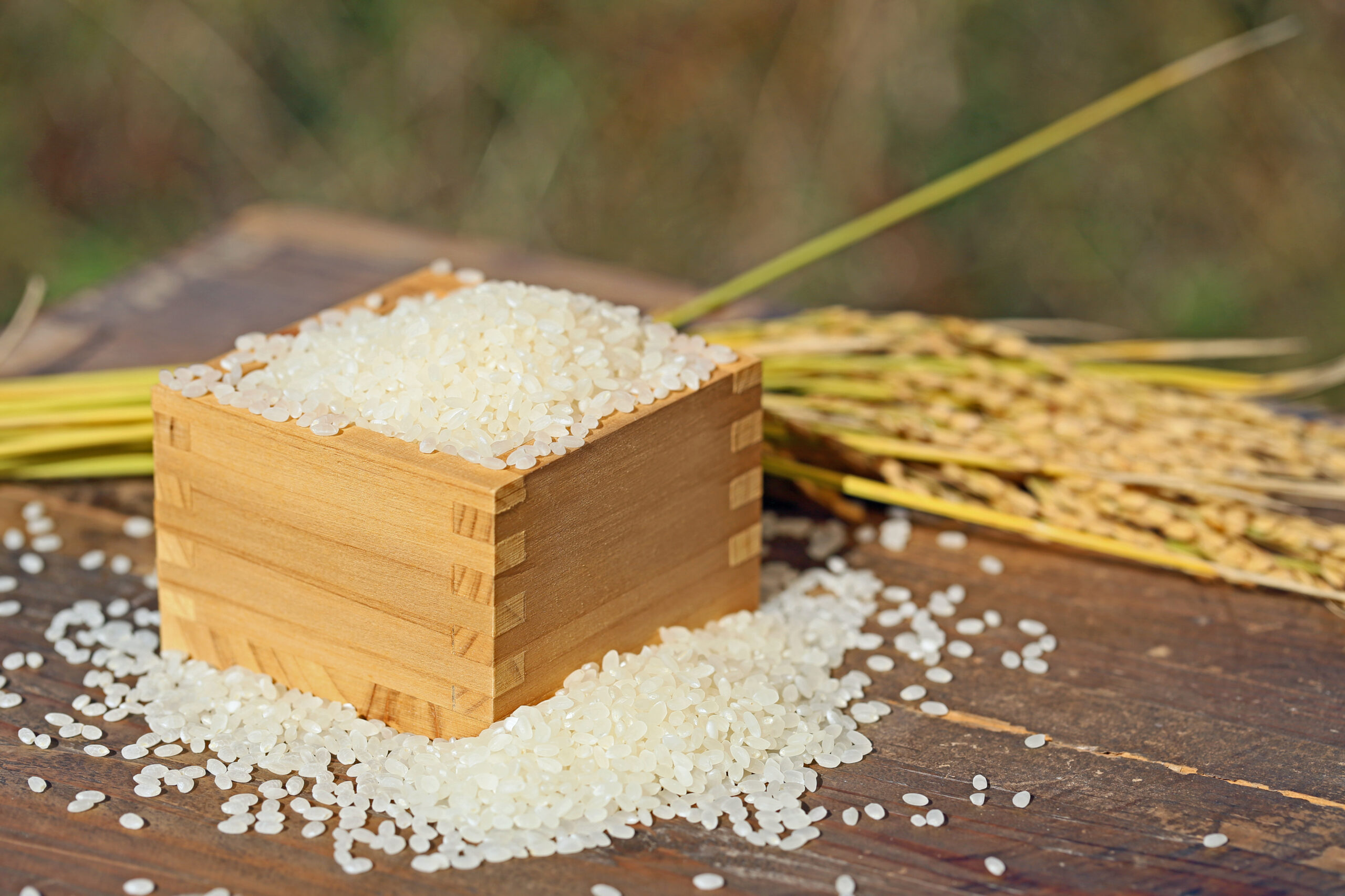 11月23日の「新嘗祭」とは？どんな行事？なぜ「勤労感謝の日」になった？全国各地の新嘗祭行事も！