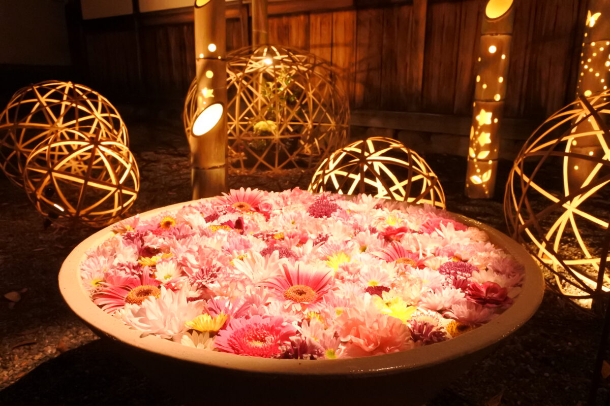 栃木県足利市の夜散歩が美しすぎる！2023年「足利灯り物語」で行灯、和傘、花手水の癒し