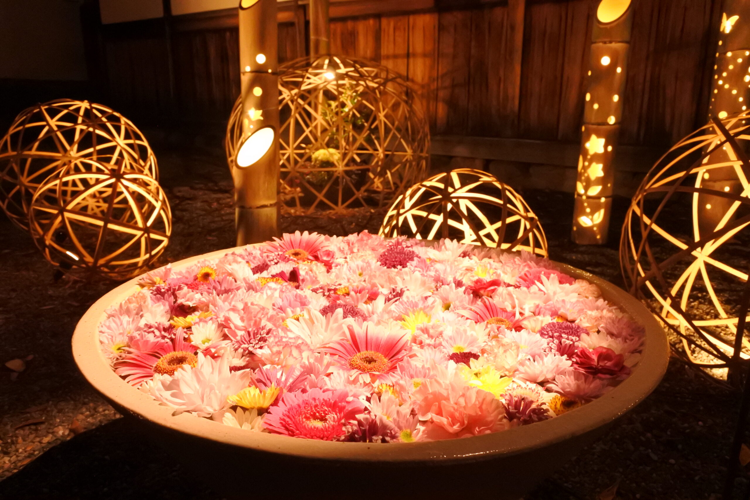 栃木県足利市の夜散歩が美しすぎる！2023年「足利灯り物語」で行灯、和傘、花手水の癒し